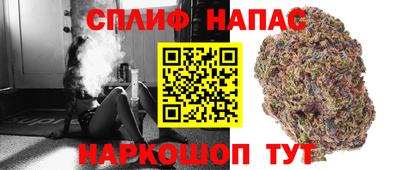 PSILOCYBIN Малоярославец