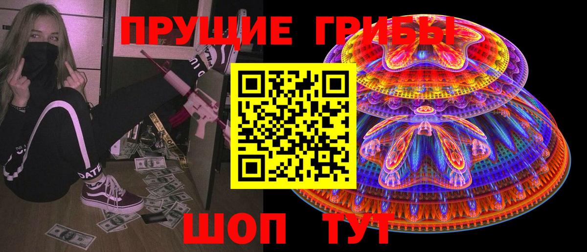 Галлюциногенные грибы Cubensis  Вход с VPN  что такое наркотик  Галлюциногенные грибы Psilocybine cubensis  Заводоуковск 