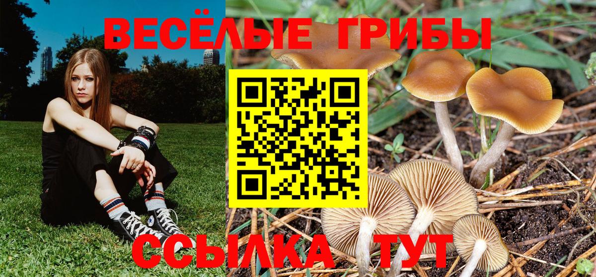 Галлюциногенные грибы мухоморы Заводоуковск